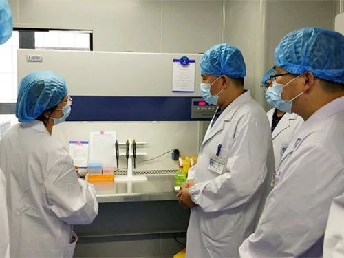 我市四家核酸檢測實驗室全部建成投用，日最高檢測能力近五千人份